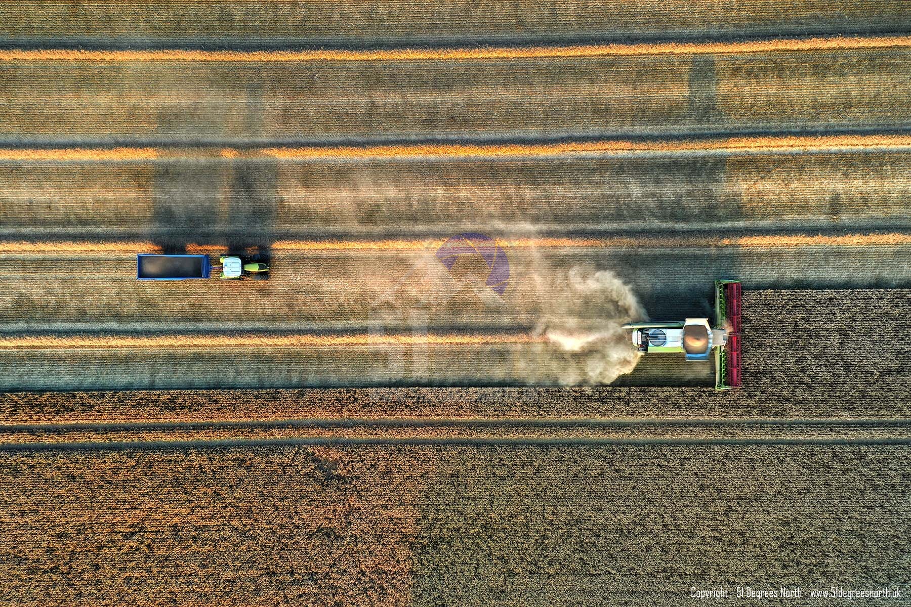 Harvesting, Cirencester