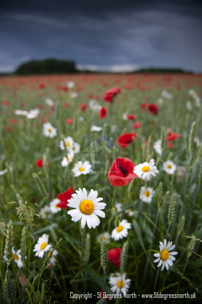 The Cotswolds, Gloucestershire