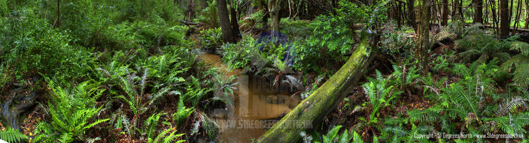 Wilsons Promontory, Victoria